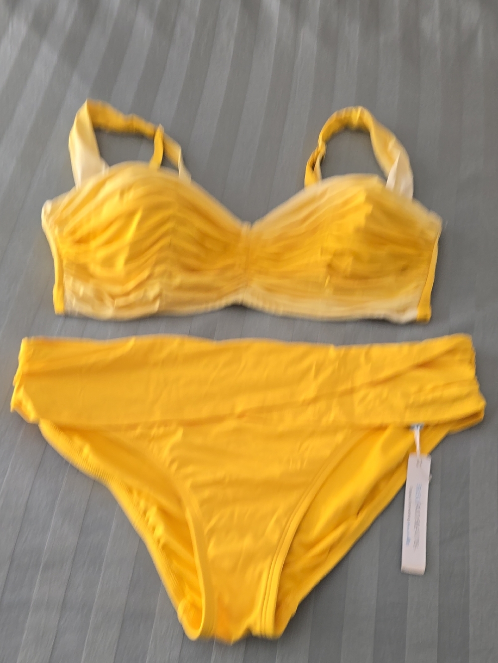 Rod Beattie Bleu Bikini